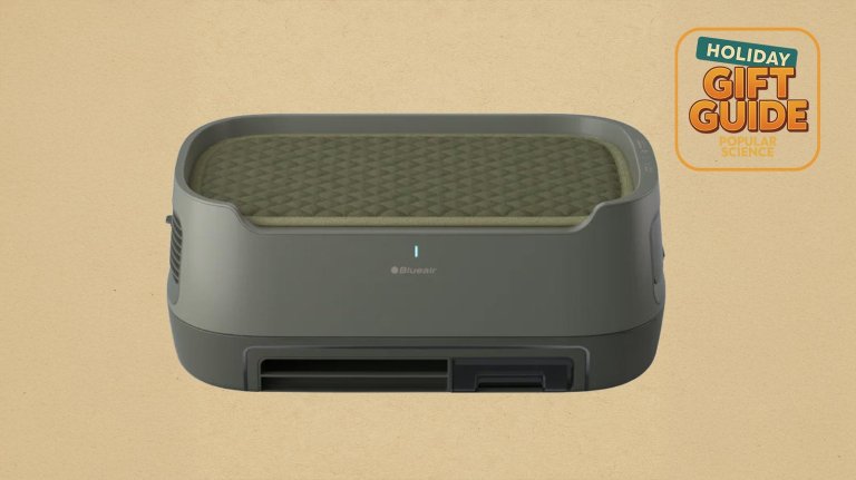 Blueair Pet Purifier