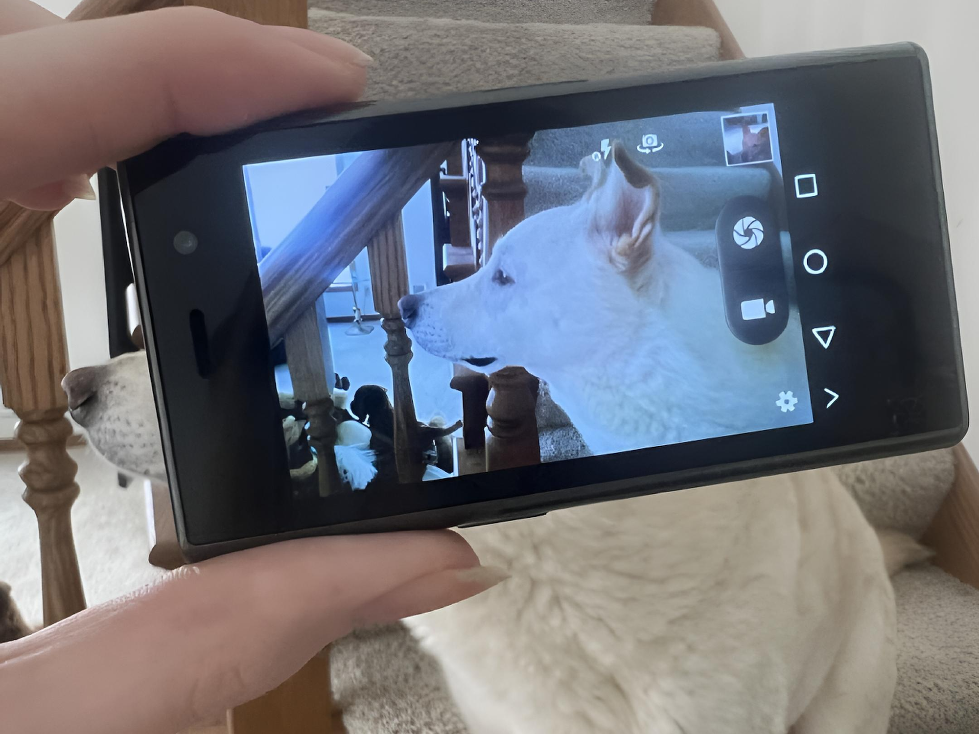 Inside image for this absurdly small smartphone is somehow real and on sale Stack Commerce sponsored deal