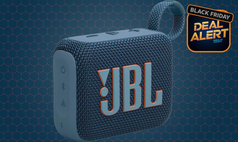 JBL portable speaker