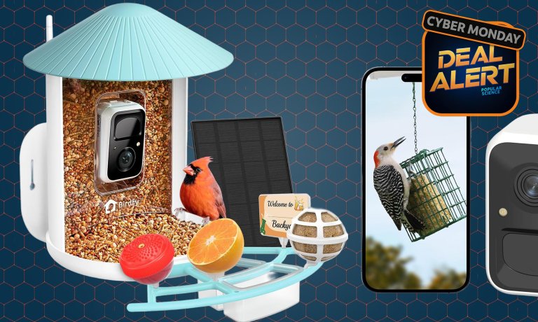 Netvue by Birdfy bird feeder cameras