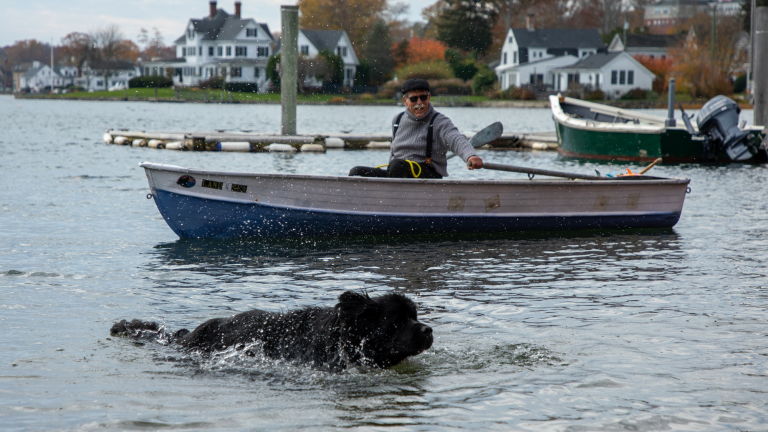 a man rows a rowboat with a large black dog swimming next to him