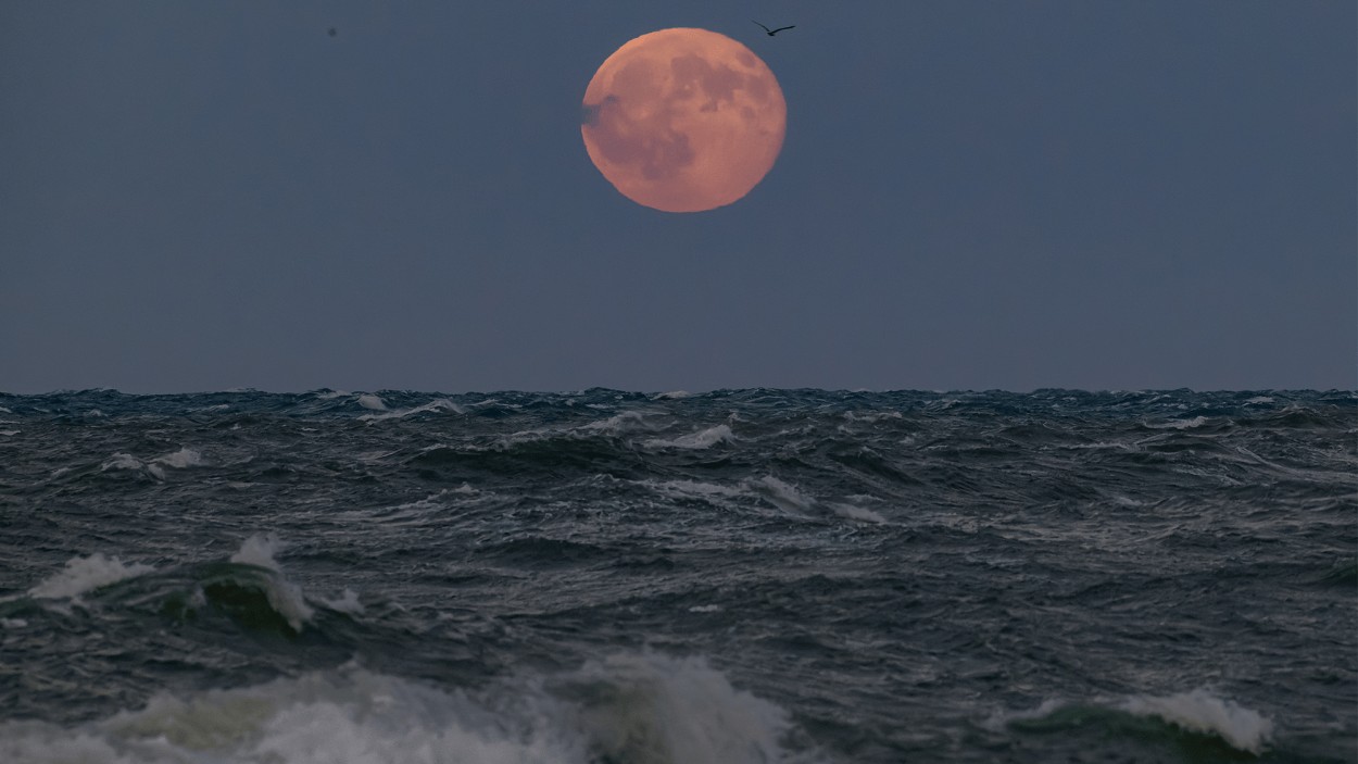 Brightest supermoon of 2025 lights up the sky this week | Popular Science