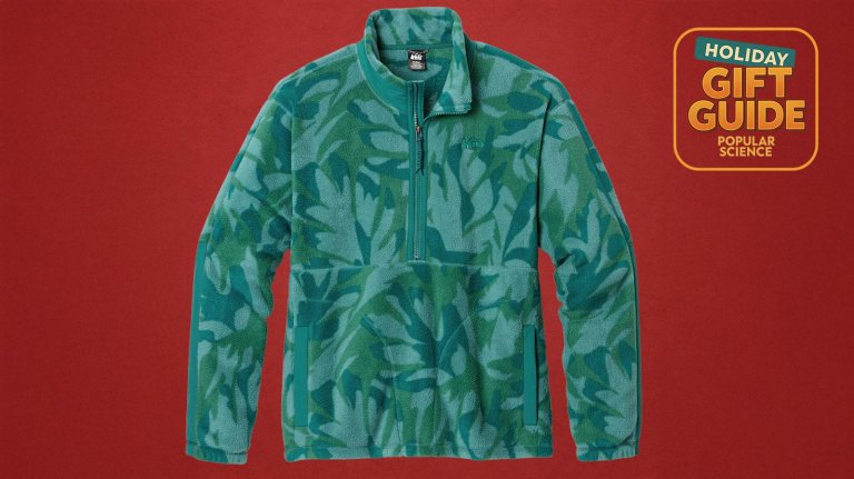 REI Campwell Fleece Pullover - Men's