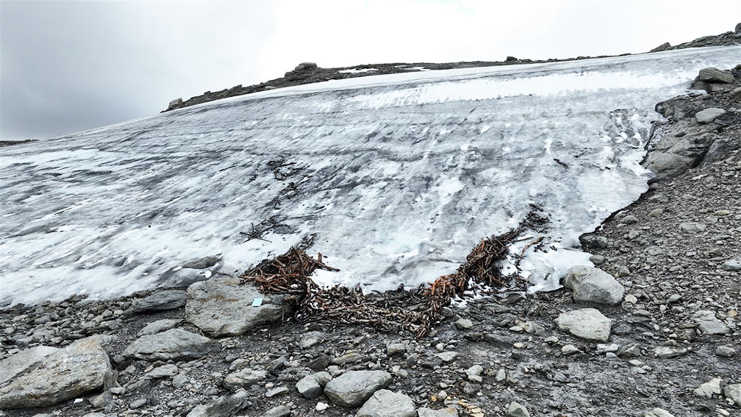 a steep hill with grey rocks and snow with wooden stakes sticking out