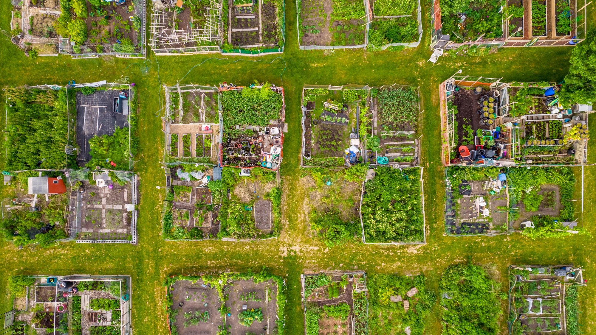 An overhead shot of an ubran farm showing different segmented plots.