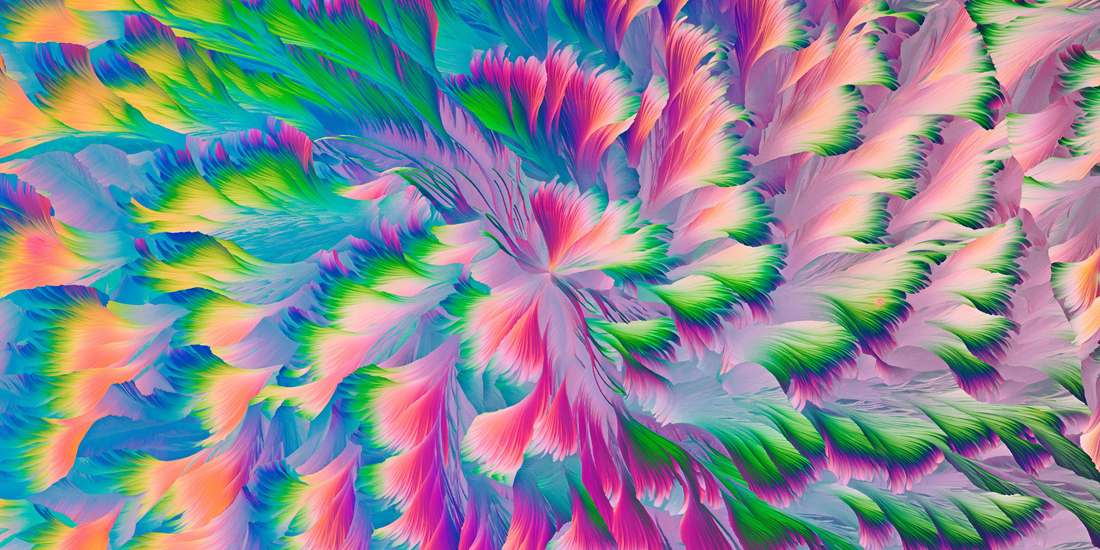 blue, pink, yellow, green, and purple flower petals 