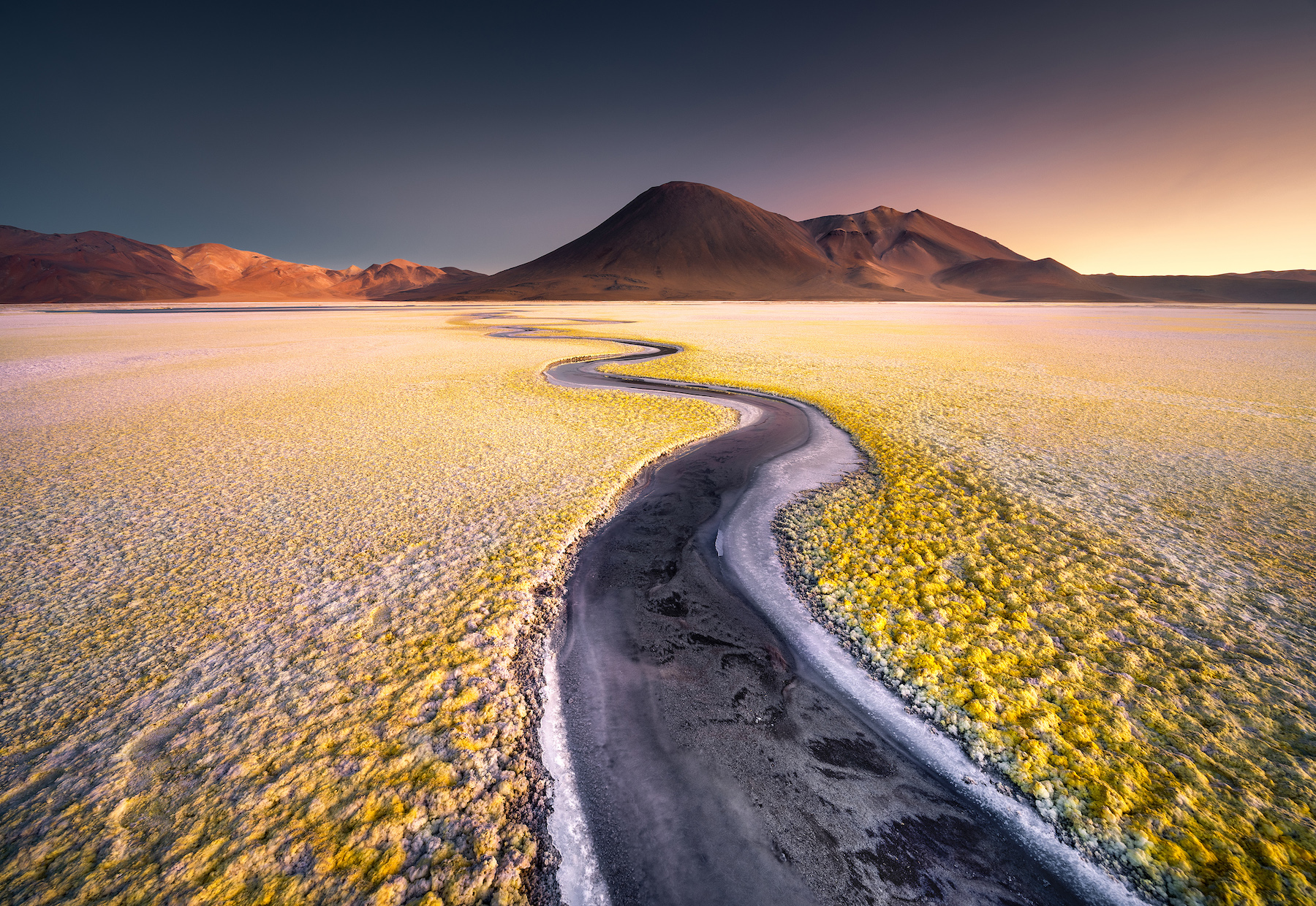a winding strip of black amongst yellow salt fields