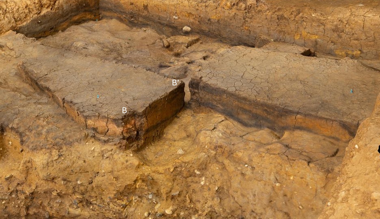 Excavation of the ancient campfire, removing diagonally opposed quadrants. The reddened sediment between band B’ is heated clay. Credit: Jordan Mansfield / Pathways to Ancient Britain Project