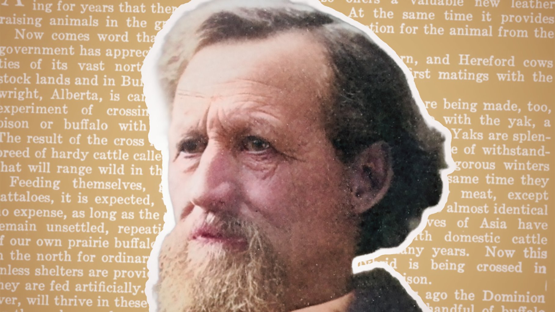 A close-up, colorized photograph of a middle-aged man with a stern expression and a thick, reddish-brown beard. He is superimposed over a faded, beige background of densely printed, historical text, suggesting he is a figure related to the document's content, which appears to discuss Cattalo or Beefalo (a cow and buffalo hybrid), based on the filename.
