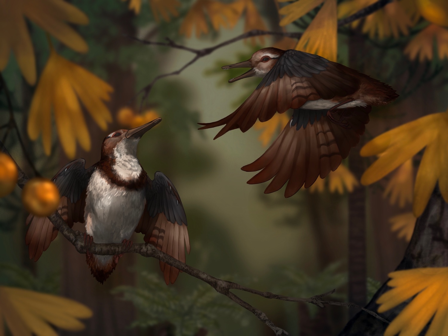 Illustration showing two ancient birds on a tree branch