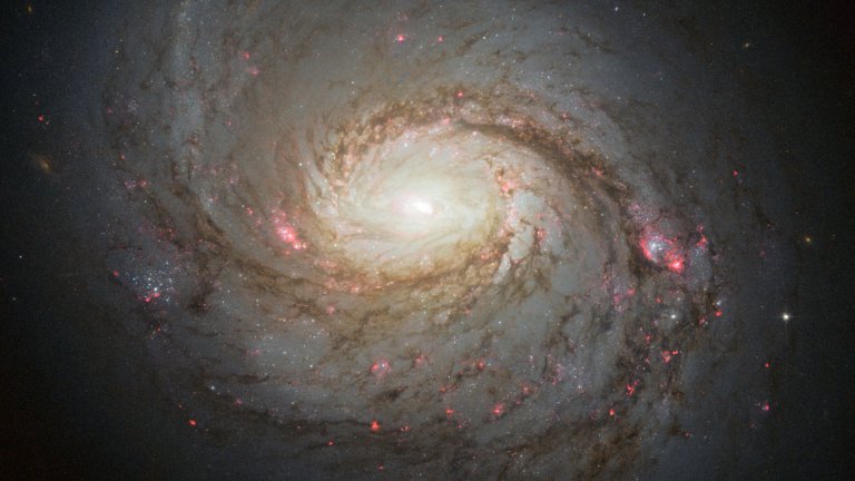 A high-detail Hubble Space Telescope image of the spiral galaxy Messier 77. The galaxy features a brilliant, white-gold central core surrounded by tightly winding spiral arms filled with dark, thread-like dust lanes and scattered patches of glowing reddish-pink star-forming regions.