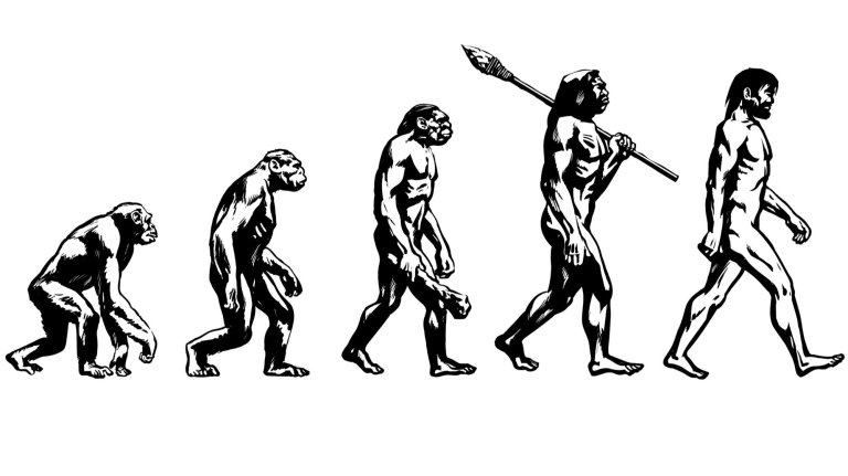 A black and white image showing the evolution of man.