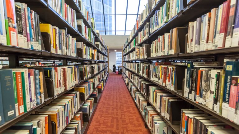 Library aisle showing rows of books
