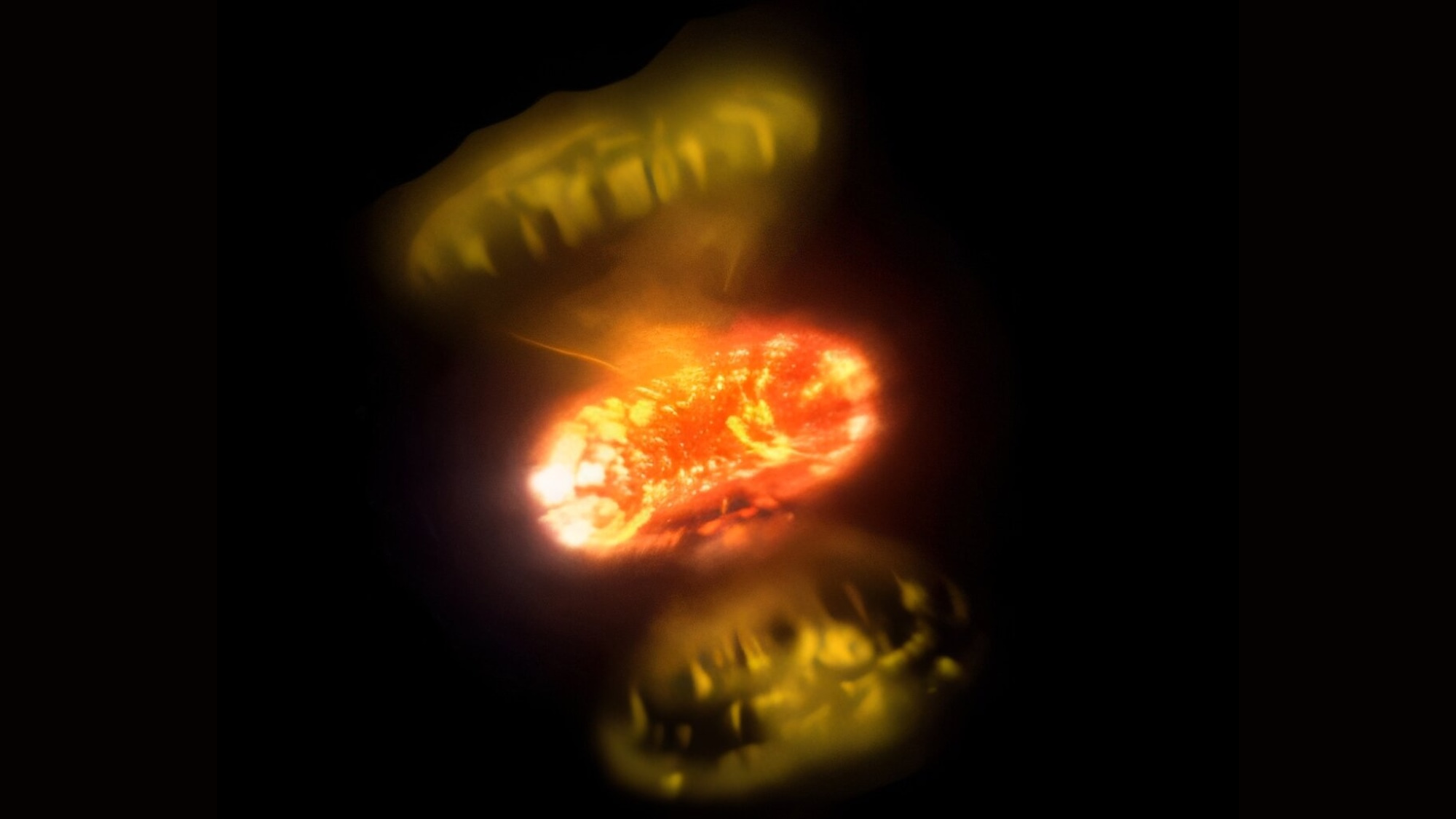 Pair of exploding stars baffle astronomers | Popular Science