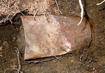 A couple walking their dog found $10 million worth of rare coins ...