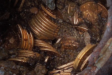 gold coins in dirt