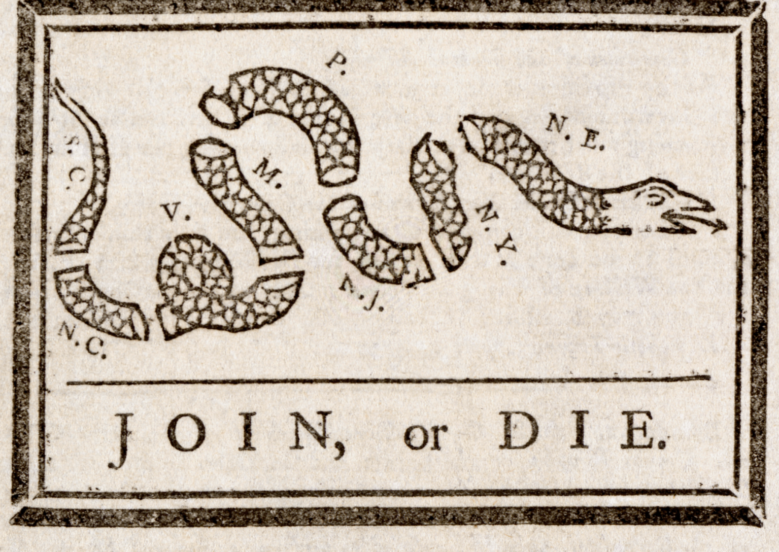 How the timber rattlesnake became a symbol of American independence ...