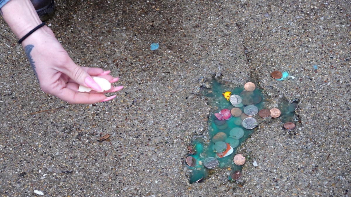 Chicago’s rat hole wasn’t made by a rat