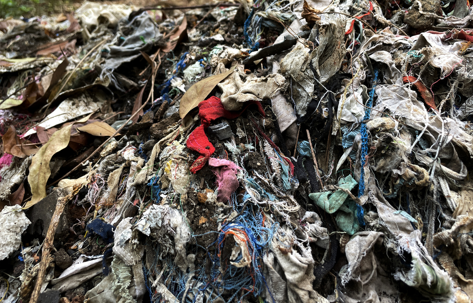 Fast fashion waste that decomposable waste