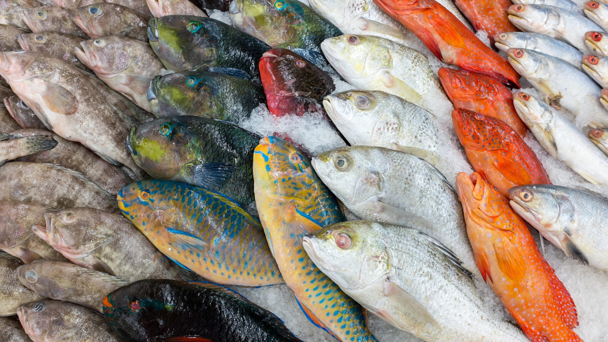 Afraid your fish is too fishy? Smart sensors might save your nose