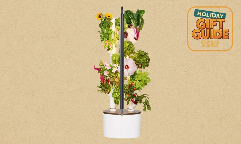 Salad greens growing in a white Gardyn Studio 2 hydroponic smart indoor growing station against a beige holiday gift guide background