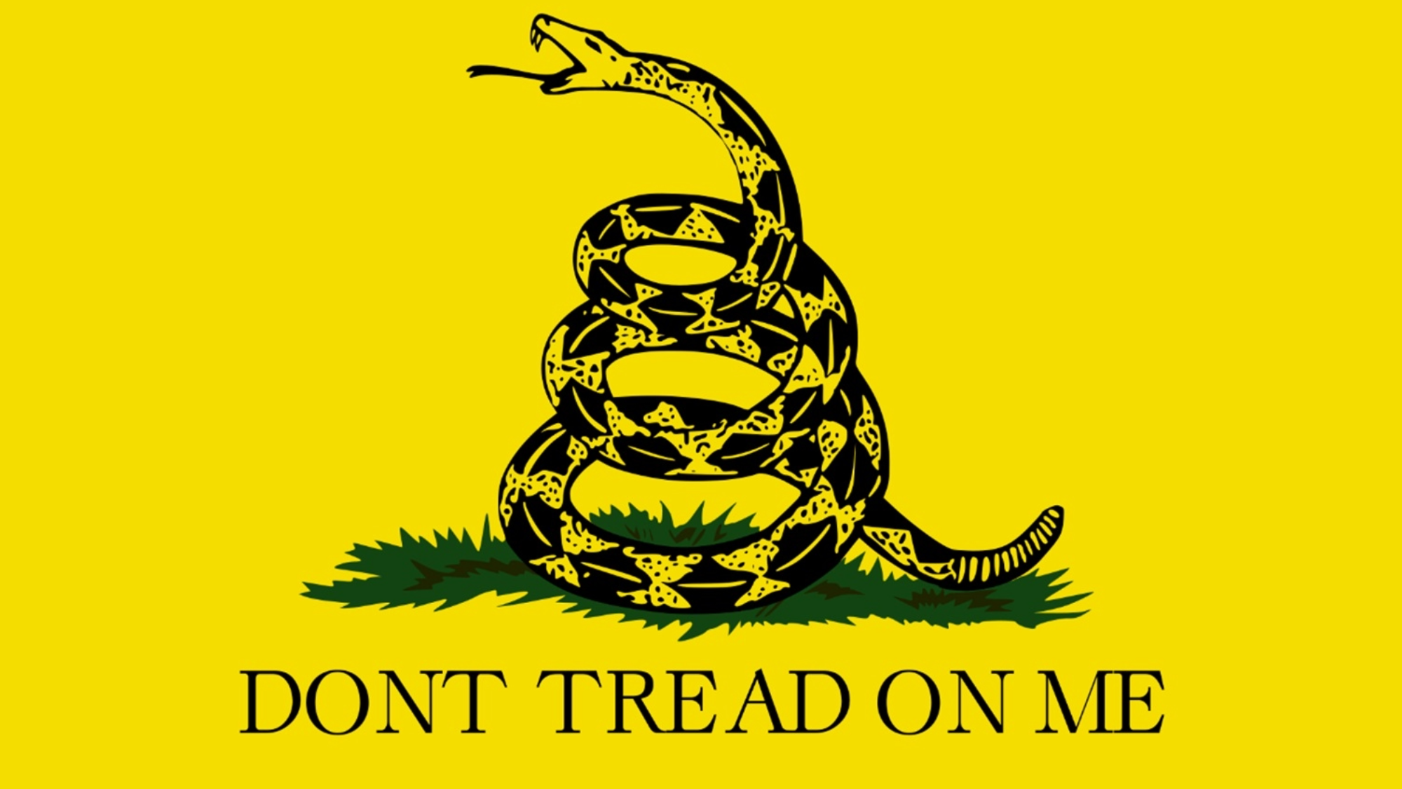 a yellow flag with a coiled rattle snake and the words "dont tread on me"Gadsden Flag, Vikkram, Creative Commons Attribution-ShareAlike 2.0.