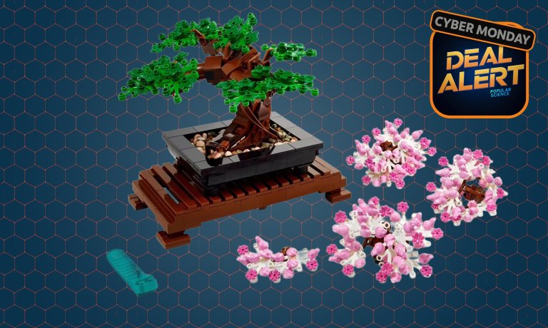 Lego Bonsai tree on sale for Cyber Monday