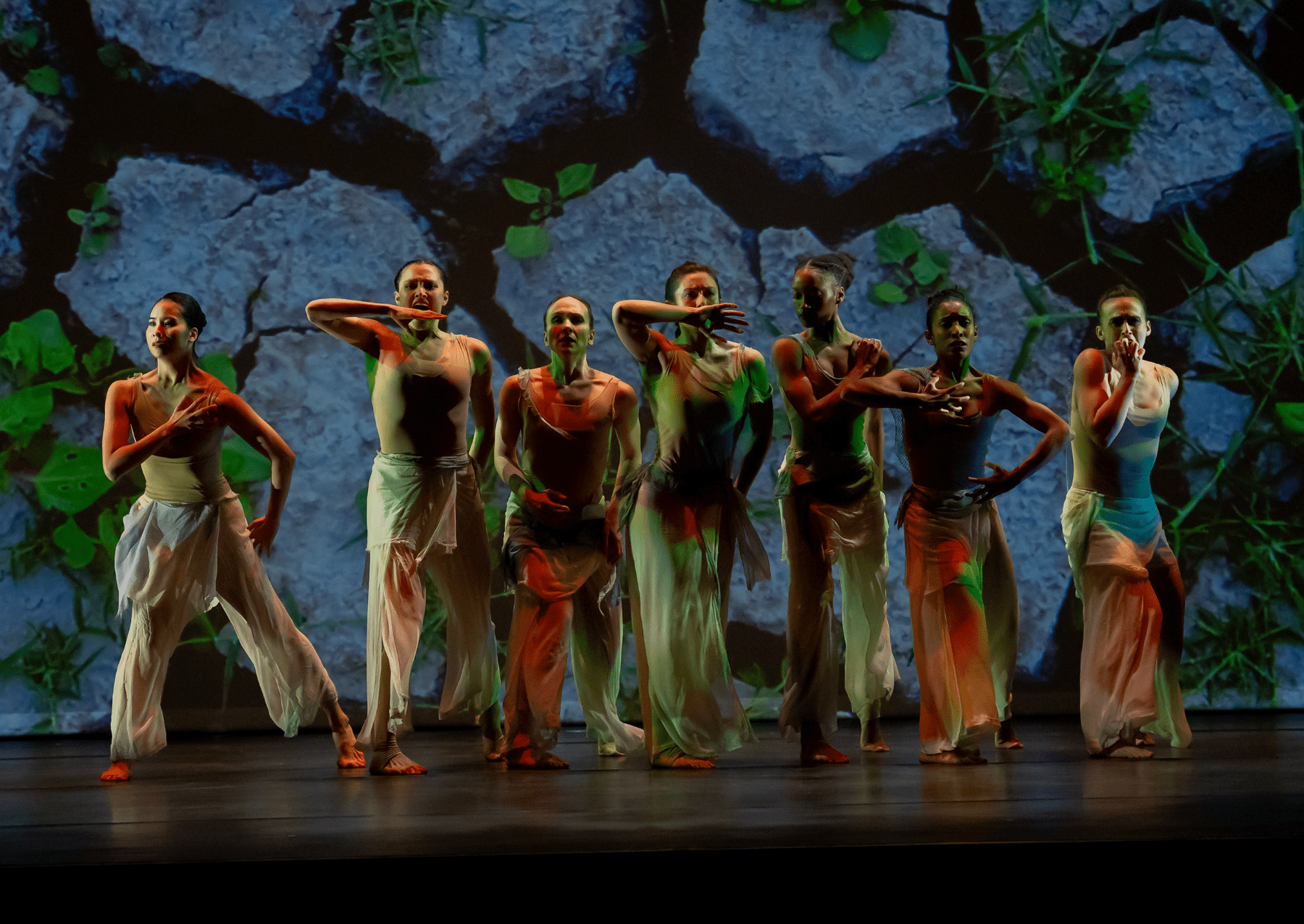 seven dancers on a stage with a background of rocks and plants