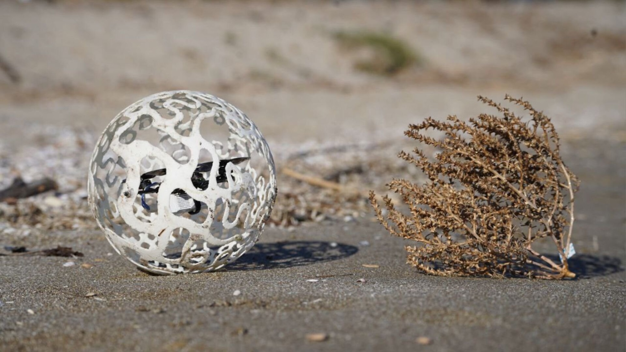 Tumbleweeds inspire this rolling, resilient robot
