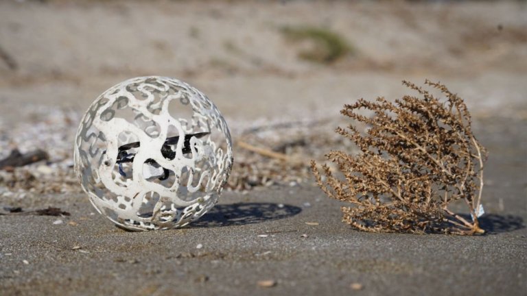 Tumbleweed inspired robot next to actual tumbleweed