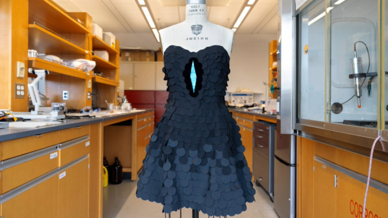 A dress inspired by the paradise riflebird, uses a new ultra-black fabric created in Cornell University’s Responsive Apparel Design Lab.