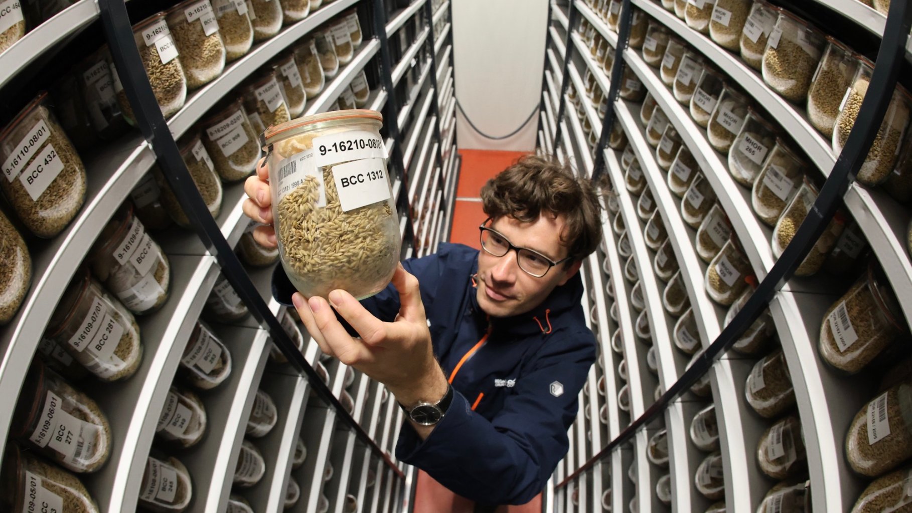 A person in a blue jacket holds a labeled glass jar filled with grain seeds while standing in a narrow aisle of a genebank. The room is filled from floor to ceiling with shelves holding hundreds of similar jars for long-term storage.