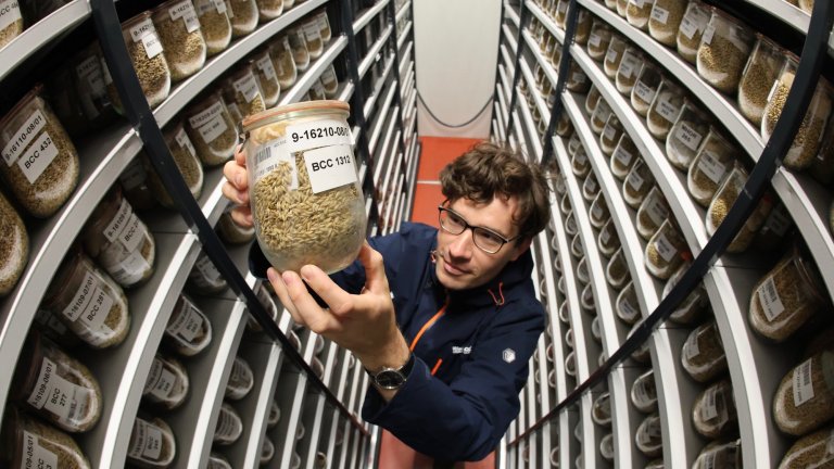 A person in a blue jacket holds a labeled glass jar filled with grain seeds while standing in a narrow aisle of a genebank. The room is filled from floor to ceiling with shelves holding hundreds of similar jars for long-term storage.
