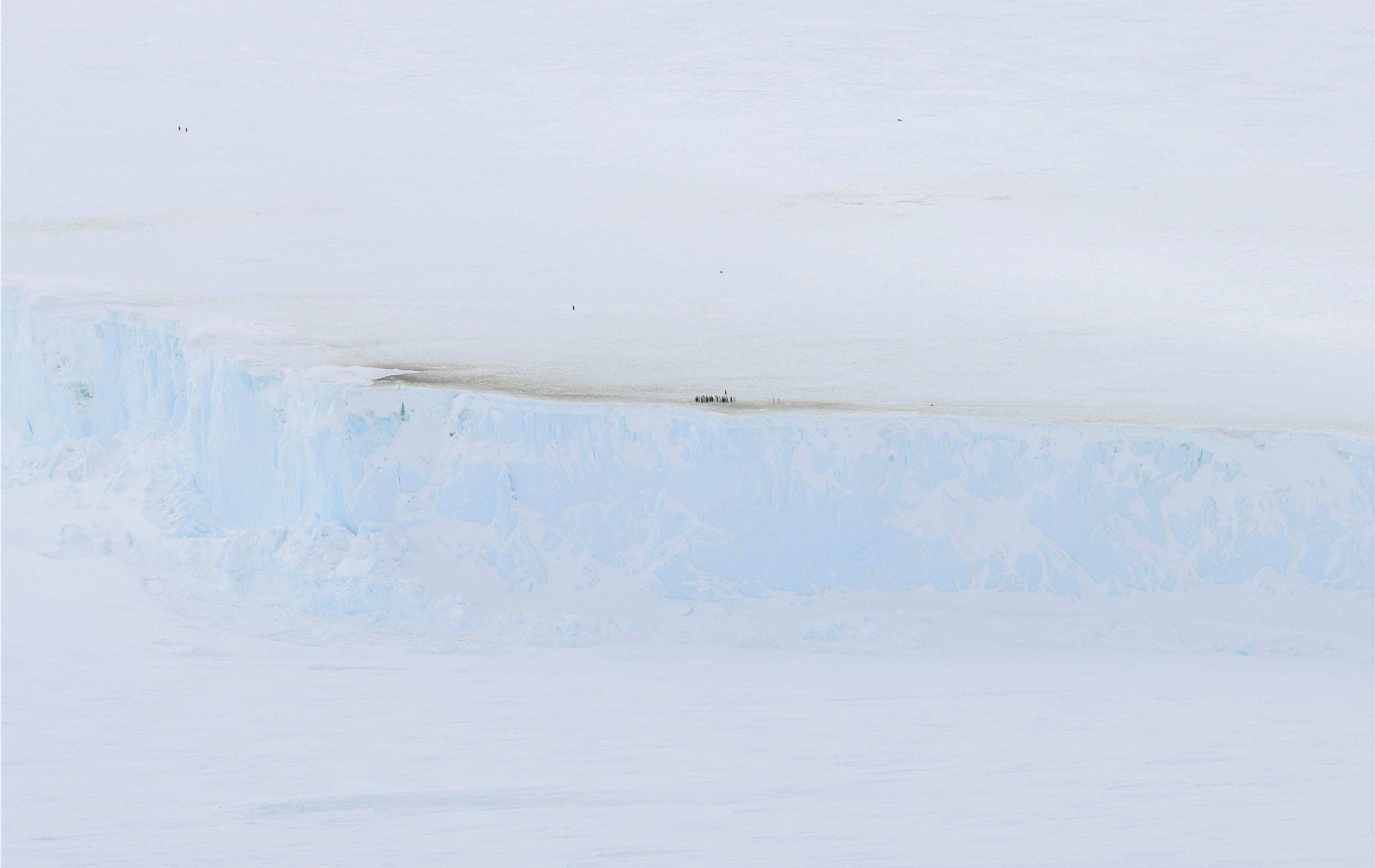 zoomed out photo of ice cliff and penguins standing on top