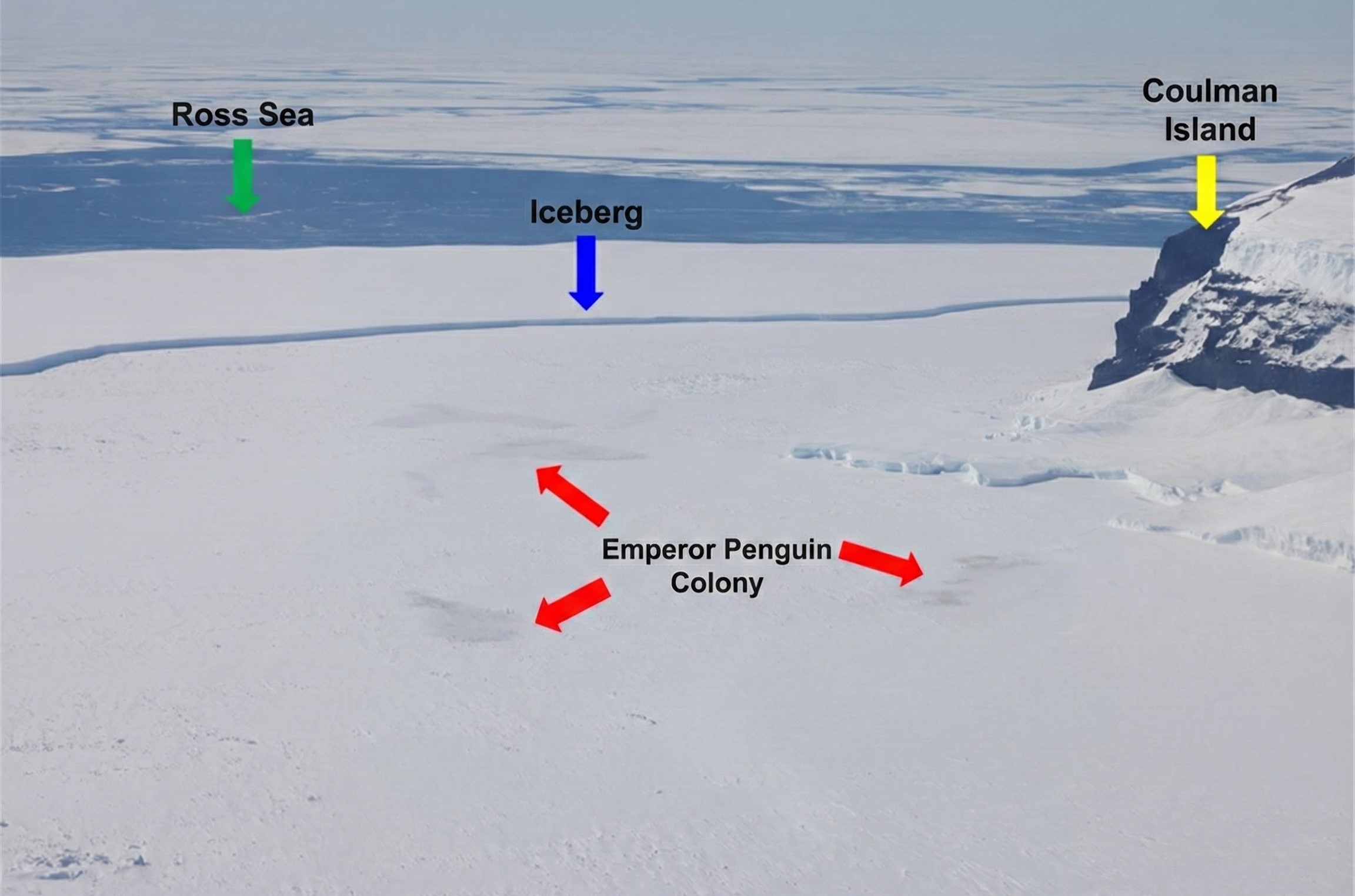 the iceberg cutting off colony of penguins seen from above
