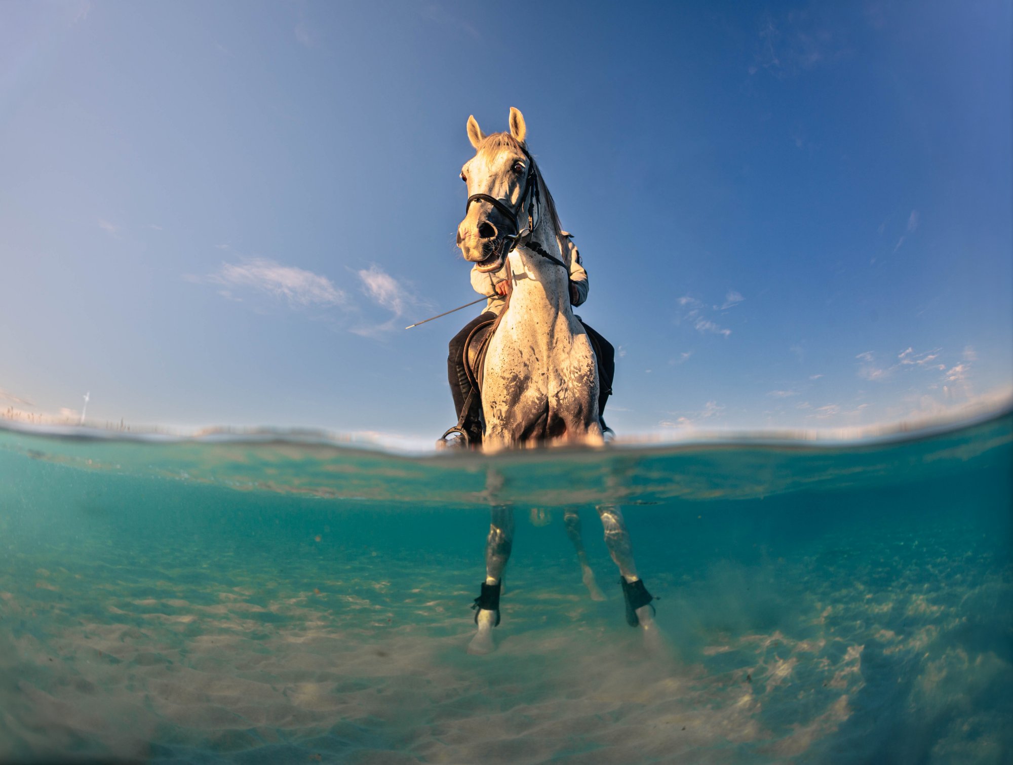 a horse and rider entered the water, using an over-under perspective to show both environments in a single frame.