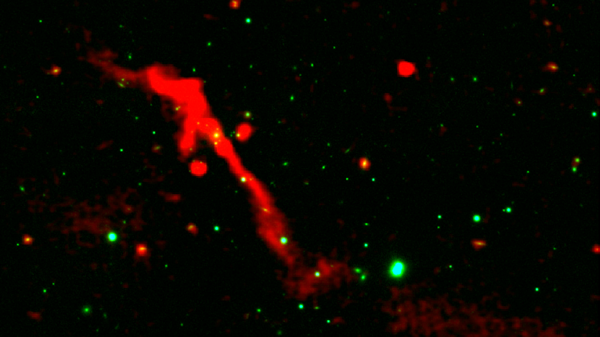 This LOFAR DR2 image of J1007+3540 superimposed over an optical image by Pan-STARRS shows a compact, bright inner jet, indicating the reawakening of what had been a ‘sleeping’ supermassive black hole at the heart of the gigantic radio galaxy.