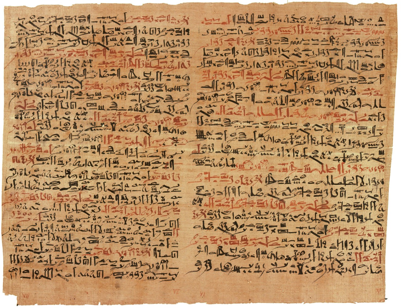 What were books like in ancient Greece and Rome? | Popular Science