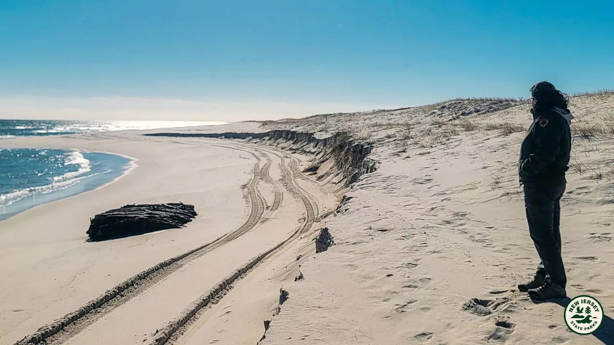 State park official on beach next to 19th century shipwreck wood
