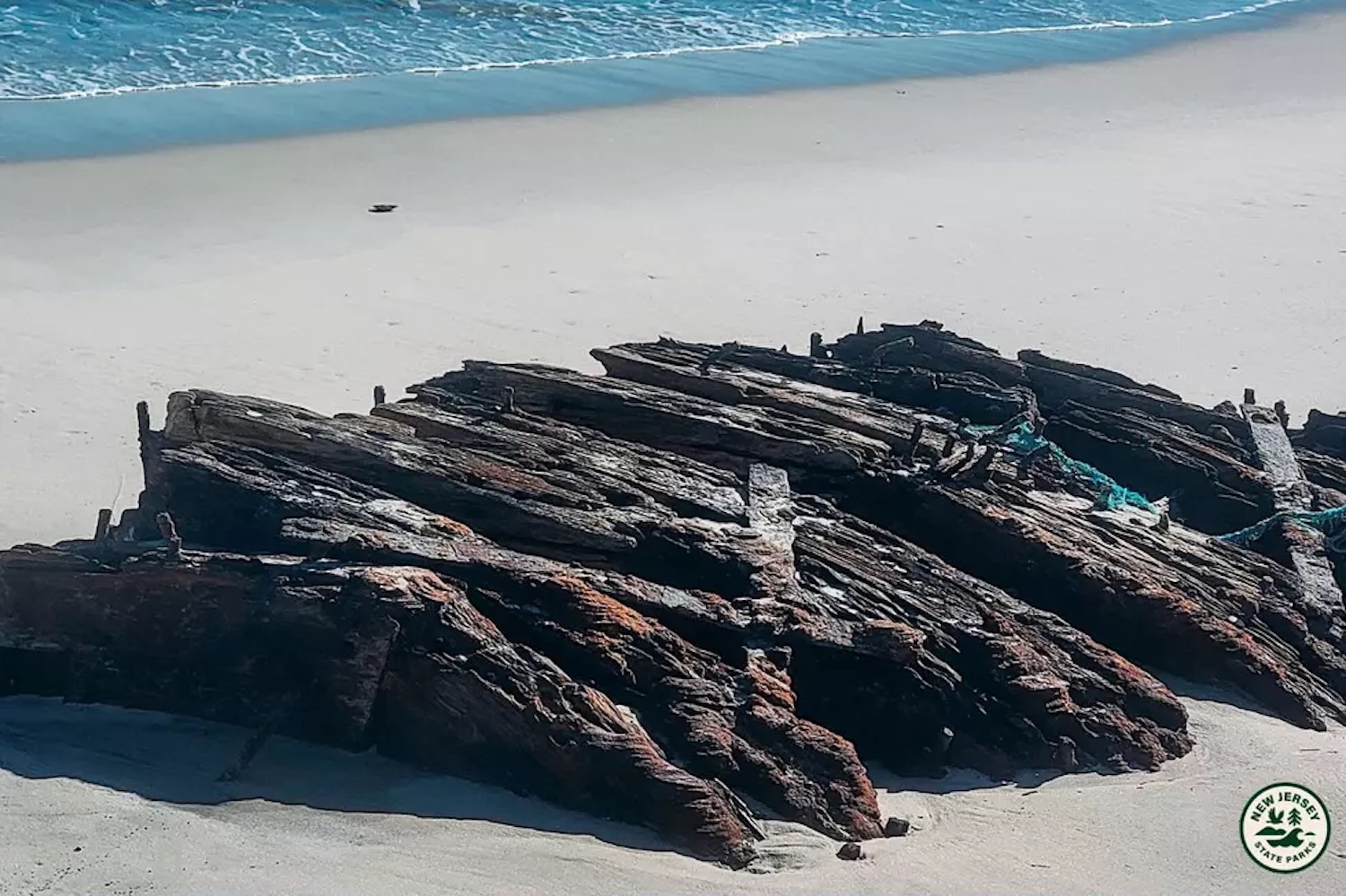 Close up of wood from 19th century shipwreck on beach