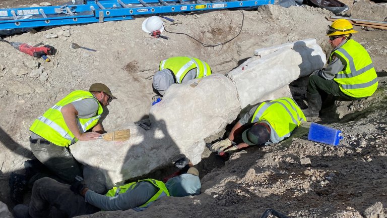 Paleontologists excavating sandstone encased dinosaur fossils from parking lot dig site