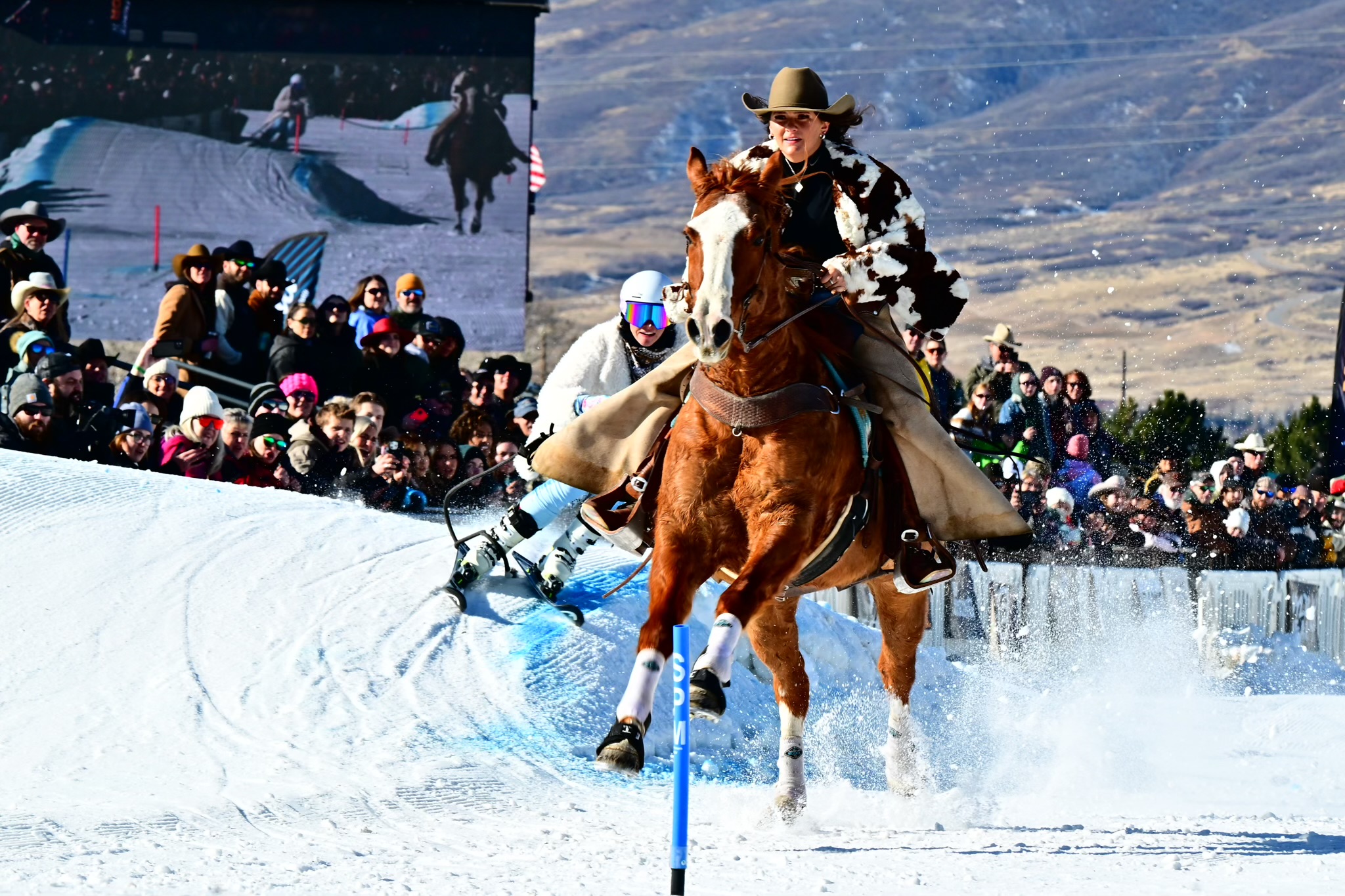A vibrant, full-color action shot of Rider Kylee Nielson and Skier Magnolia Neu competing in a skijoring event. A chestnut horse with a white blaze and white leg wraps gallops directly toward the camera, kicking up a spray of bright white snow. The rider wears a brown cowboy hat and a cow-print jacket. Behind the horse, a skier in a white jacket and blue-tinted goggles leans into a turn on a snowy bank. A large, diverse crowd of spectators watches from behind a fence, with a massive video screen in the background reflecting the race.