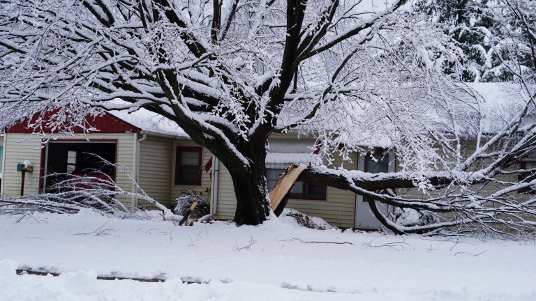 Tree broken in half near house due to heavy snowfall
