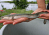 an eel