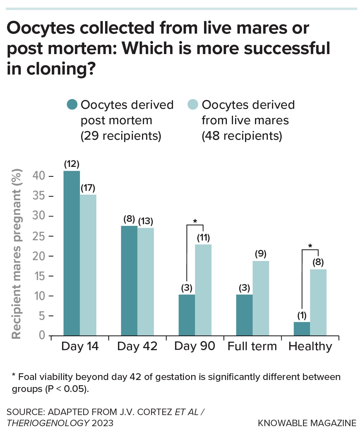 A bar graph titled "Oocytes collected from live mares or post mortem: Which is more successful in cloning?" It compares the pregnancy and health outcomes of 29 post-mortem recipients (dark teal) and 48 live-mare recipients (light teal). The data shows that while post-mortem oocytes have higher initial pregnancy rates at Day 14, live-mare oocytes are significantly more successful at reaching full term and producing healthy foals.