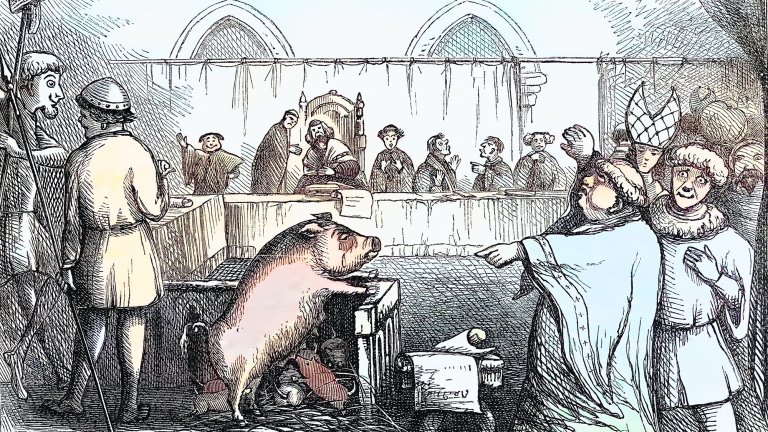 A colorful, detailed line illustration depicting a medieval courtroom scene where a pig is standing trial. The pig stands on its hind legs at a wooden witness stand or dock, facing a panel of judges and clerics seated behind a long table. In the foreground, a man in a light blue robe points a finger accusatorially at the pig, while other onlookers in traditional medieval tunics and headwear watch the proceedings with expressions of concern and curiosity. The setting features gothic arched windows and draped backdrops typical of the period.