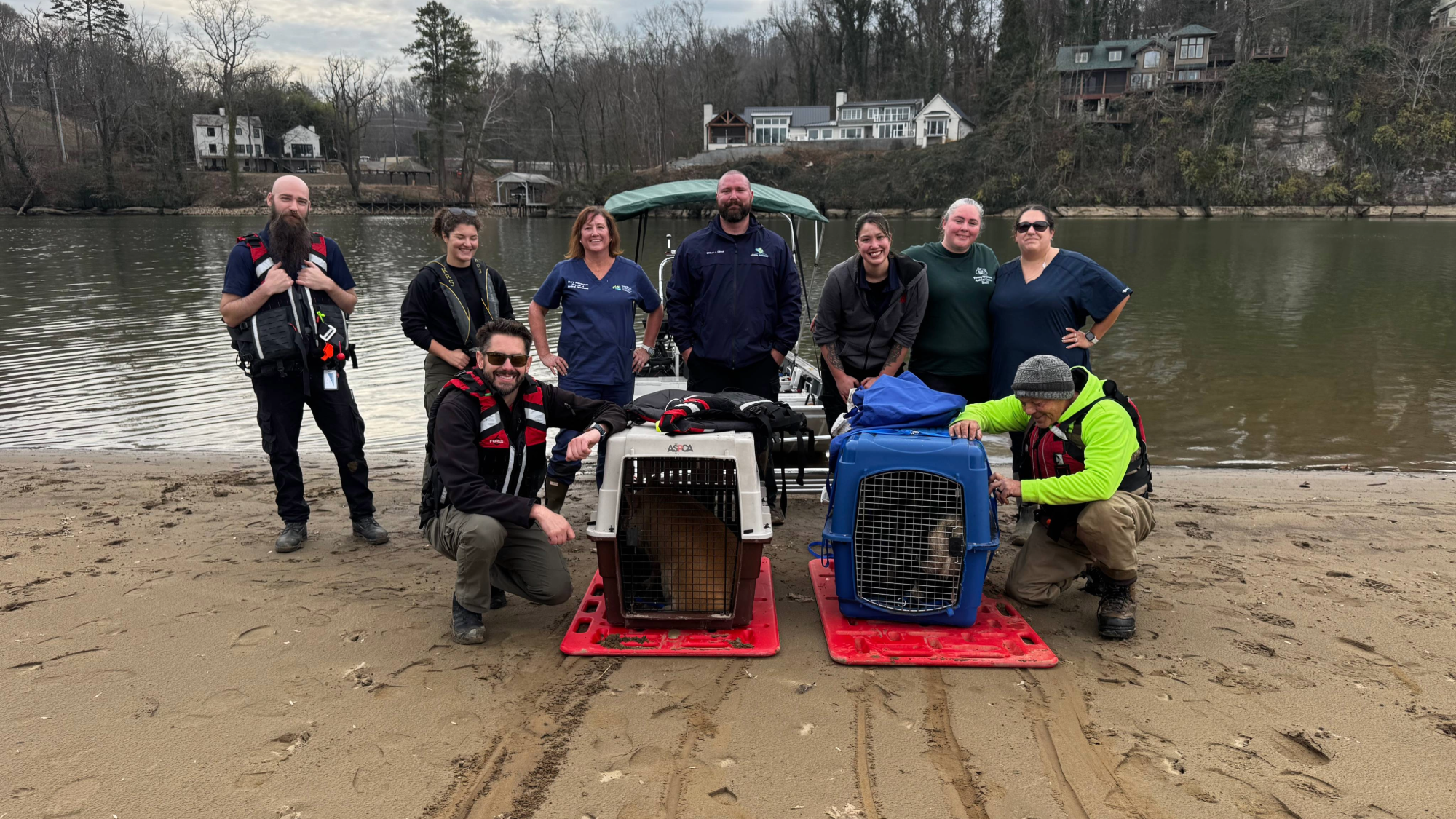 Abandoned pigs rescued on Tennessee’s Looney Islands