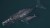 a whale and calf