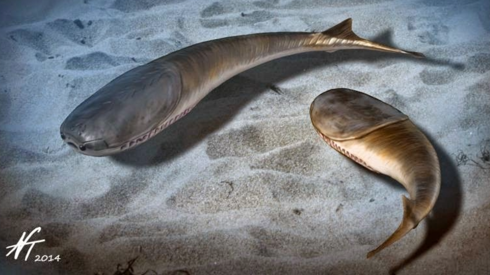 Mass death paved the way for the Age of Fishes