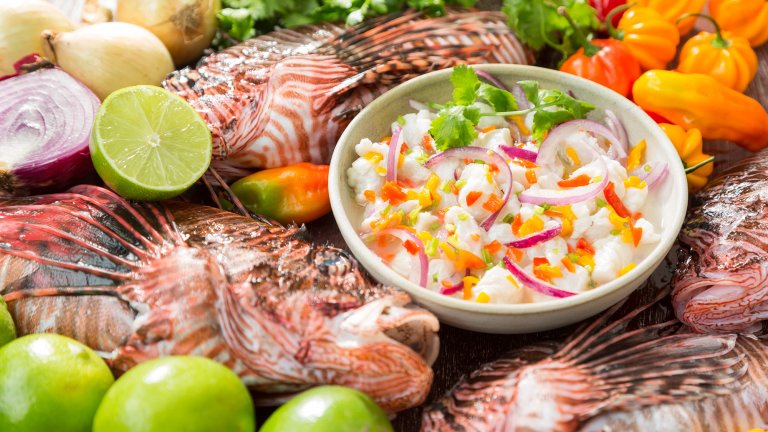 A vibrant culinary photograph featuring a bowl of fresh ceviche made from white fish, red onion, and herbs, surrounded by the raw ingredients used to prepare it. Several whole, striped lionfish with their distinctive venomous spines are arranged around the bowl alongside whole limes, red onions, and bright orange habanero peppers.